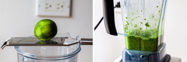 grilled chicken salad with cilantro-lime dressing – smitten kitchen grilled chicken salad with cilantro lime dressing – smitten kitchen