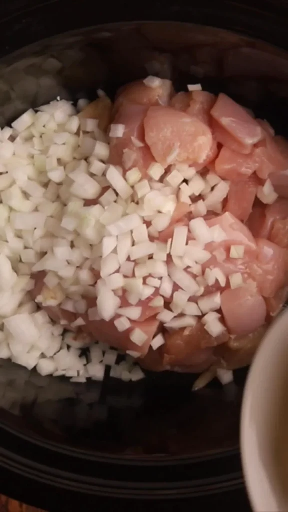 slow cooker chicken and rice 2026 01 07 210938 576x1024 1